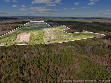 7399 Burney Rd, White Oak, NC 28399 - photo 2