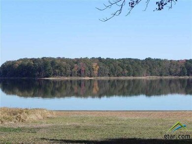 16321 Big Oak Bay Rd, Tyler, TX 75707 - photo 2