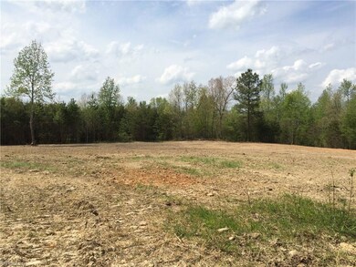 0 Holman Mill Rd unit 792585, 8, Newlin, NC 27349 - photo 3