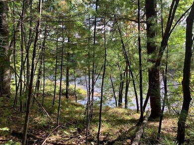 2.6 Ac State Highway 180, Porterfield, WI 54159 - photo 7