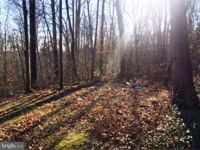 321 Blue Rocks Rd, Lenhartsville, PA 19534 - photo 4