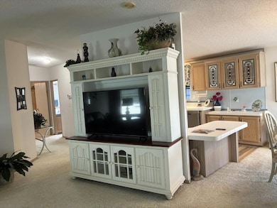 2810 Orlenes St unit 373, North Fort Myers, FL 33903 - photo 3