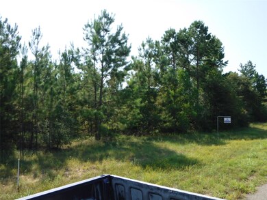 2064 White Buck Ct, Cleveland, TX 77328 - photo 2