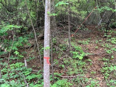 Survey tape on tree and iron pin marks the upper b