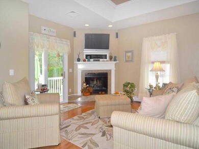 Living Room. fireplace with electric insert.  Tele