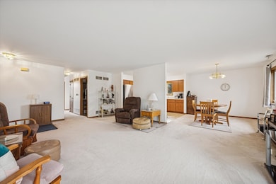 2689 Jodee Dr unit B, Joliet, IL 60436 - photo 4