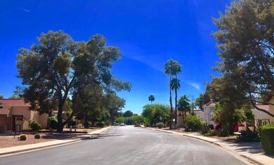 Quiet Neighborhood Street