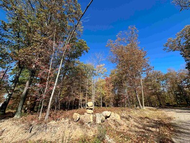 Parcel 1A Bridgeview Ln, Negaunee, MI 49866 - photo 5