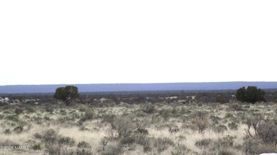 2424 E Valle Rd, Williams, AZ 86046 - photo 4