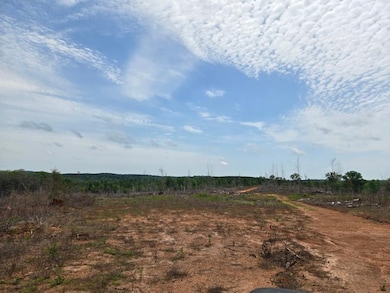 0 Booger Hollow Rd unit 23734488, Dadeville, AL 36853 - photo 2