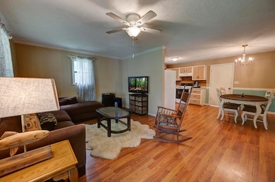 350 Wilbanks Rd, Chatsworth, GA 30705 - photo 2