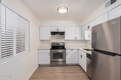 1107 E University Dr unit 109, Mesa, AZ 85203 - photo 6