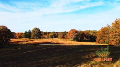 000 Garden of the Gods Rd, Herod, IL 62947 - photo 3