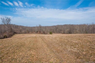 1713 Turnersburg Hwy, Statesville, NC 28625 - photo 2