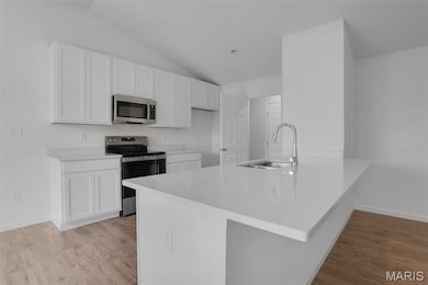 1016 Westhaven Blvd, Wentzville, MO 63385 - photo 5