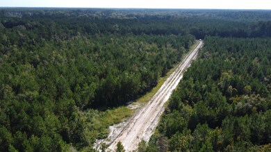 DJI_0834