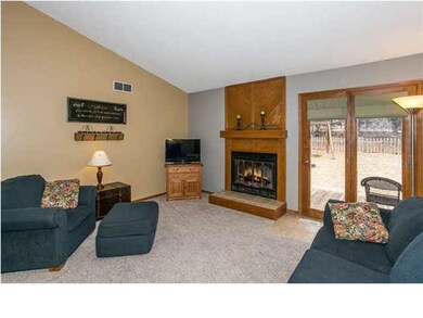 Wood-Burning Fireplace with Blowers for Added Warm