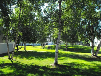 DSCF0026
