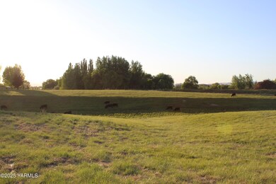 NKA Orchardvale Rd, Zillah, WA 98953 - photo 4