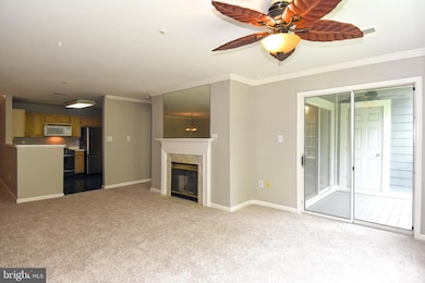 20410 Shore Harbour Dr unit 6C, Germantown, MD 20874 - photo 3