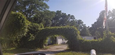 508 Dartmouth Ave E, Oldsmar, FL 34677 - photo 4