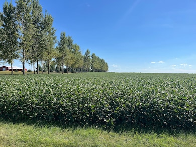 9407 Jordan Rd, Argenta, IL 62501 - photo 2