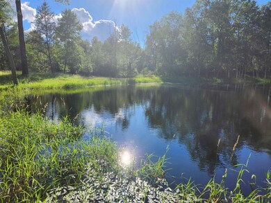 2245 15th Dr, Adams, WI 53934 - photo 6