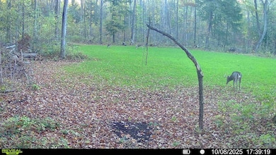 Off Grass Creek Ln, Athens, WI 54411 - photo 3