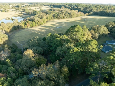 840 Oak Meadow Dr, Murchison, TX 75778 - photo 6