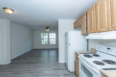 993 Rochelle Ave, Charleston, SC 29407 - photo 7