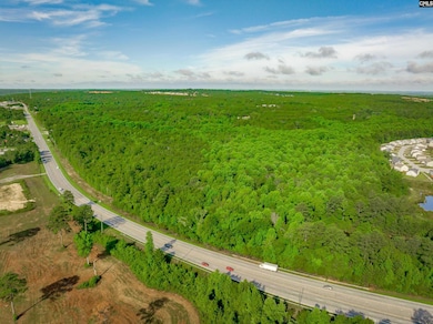 0 Highway 321, West Columbia, SC 29172 - photo 4