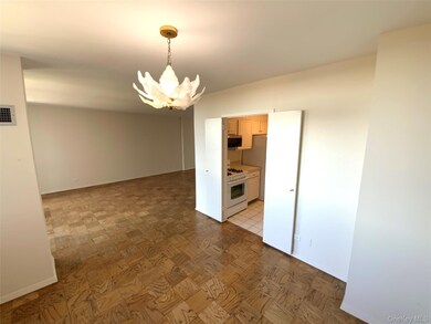 North Shore Towers unit 16S, Floral Park, NY 11005 - photo 5