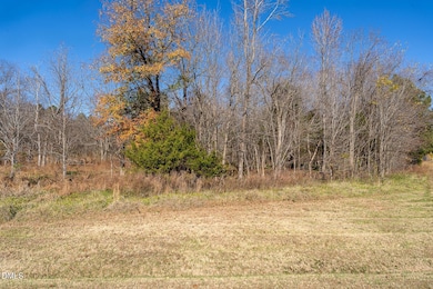 5417 Turner Smith Rd, Browns Summit, NC 27214 - photo 3