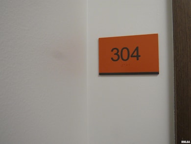 509 9th St unit 304, Dewitt, IA 52742 - photo 2