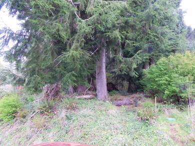 DSCN1958 (2)