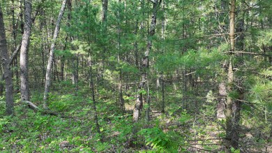 land view 3