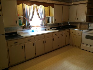 Kitchen view 1