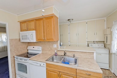 20 Mayhall St, Albany, NY 12205 - photo 3