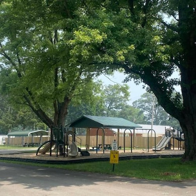 Carousel Image