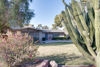 MATURE LANDSCAPING