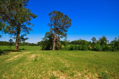 5578 Fm 1638, Nacogdoches, TX 75964 - photo 4