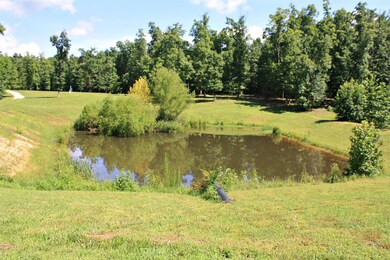 2486 Armstrong Rd, Linden, TN 37096 - photo 5