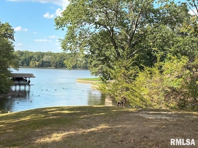 19 Forest Ridge unit 1, Springfield, IL 62712 - photo 5