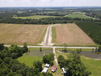 0 Swan Rd, Fitzgerald, GA 31750 - photo 7
