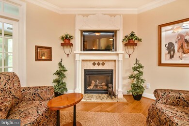 8238 Burr Hill Rd, Rhoadesville, VA 22542 - photo 5