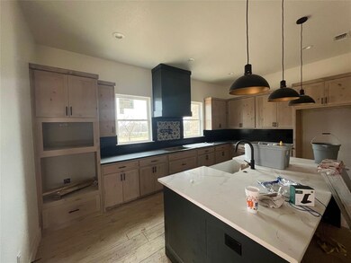 148 Tobiano Trace, Brock, TX 76087 - photo 7