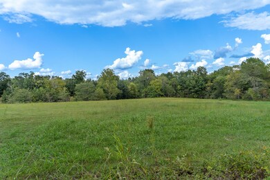 0 State Hwy E, Oak Ridge, MO 63769 - photo 6