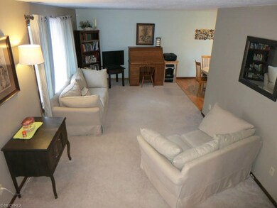 Nice large living room