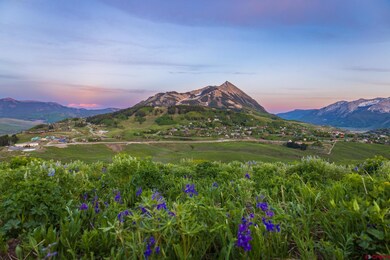 F9 Prospect Dr, Mt. Crested Butte, CO 81225 - photo 4