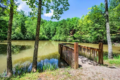 3139 Sourwood Way, Sevierville, TN 37862 - photo 3